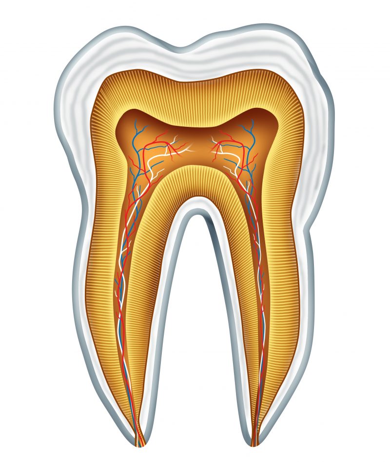 Benefits of Getting a Root Canal