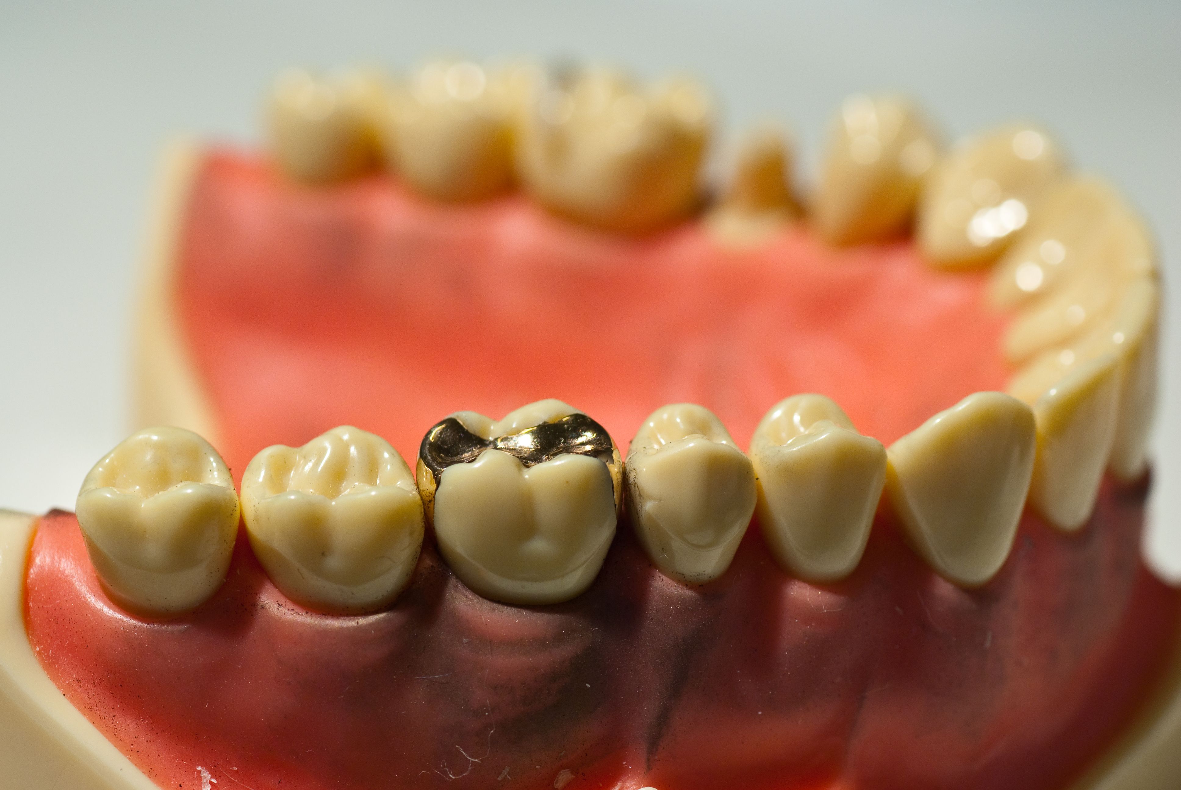 Regular Visits With Your Salibury NC Dentist Can Drastically Help Your Mouth